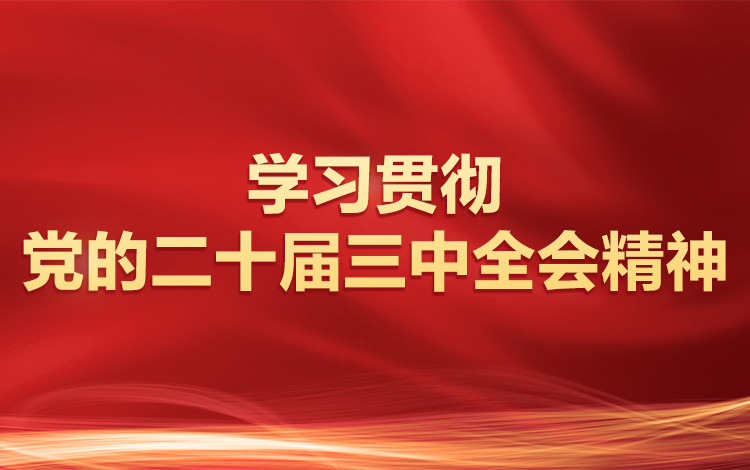 学习贯彻党的二十届三中全会精神