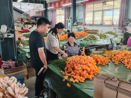 （图为参观学习现场）