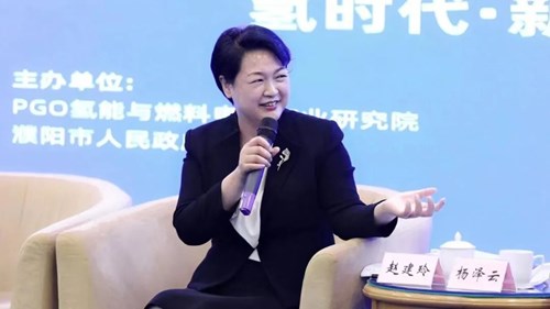 图为濮阳市委常委、常务副市长赵建玲