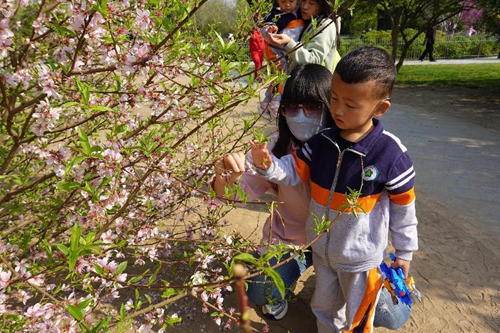 图为家长引导听障儿童观察春天的植物