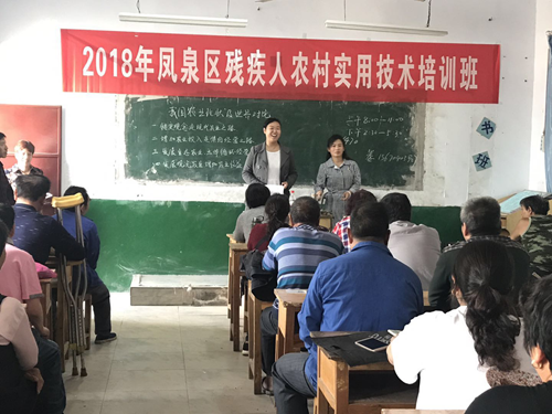 图为：2018年凤泉区残疾人农村实用技术培训班