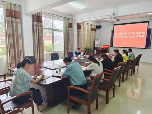 图为罗山县残联学习传达贯彻县十三次党代会会议精神现场