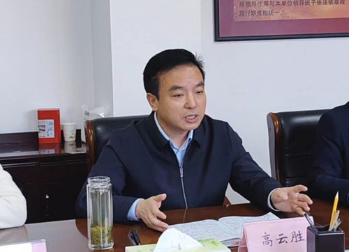 图为：南阳市残联党组书记、理事长高云胜在反馈会上发言 