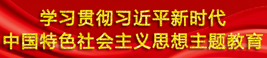 学习贯彻习近平新时代中国特色社会主义思想主题教育