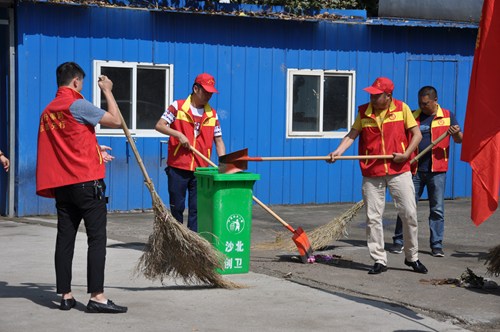 图为党员志愿者集中清扫整治社区卫生