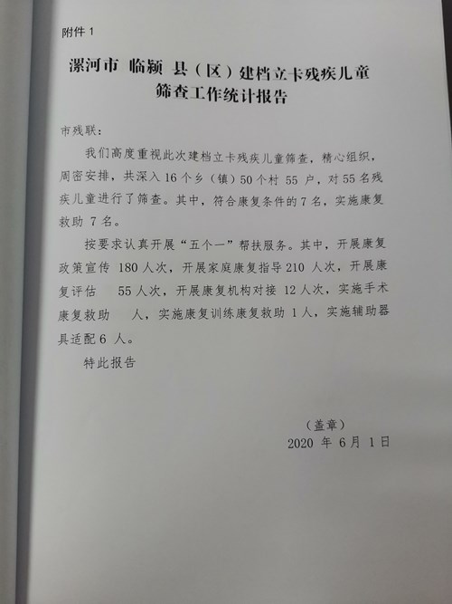 图为临颍县建档立卡残疾儿童筛查工作统计报告