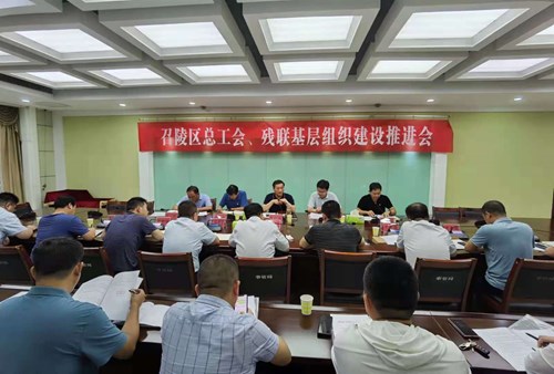 图为漯河市召陵区召开基层残协组织建设推进会