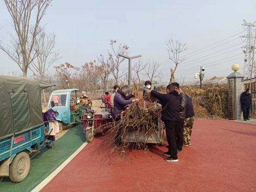 图为区残联工作人员给残疾人发放树苗