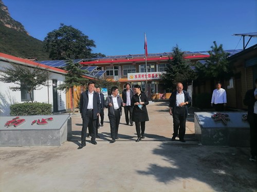 林州市领导李蕾调研村残协工作