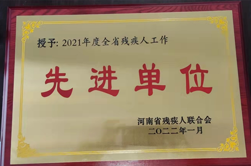 图为全省残疾人工作先进单位奖牌